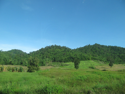 Name:  IMG_3684.jpg
Views: 553
Size:  132.3 KB