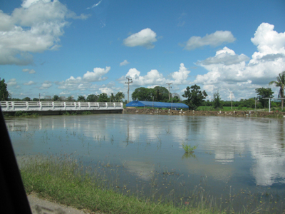 Name:  IMG_3960.jpg
Views: 303
Size:  131.4 KB