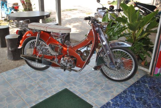 Name:  DSC_1011.jpg
Views: 1348
Size:  56.0 KB