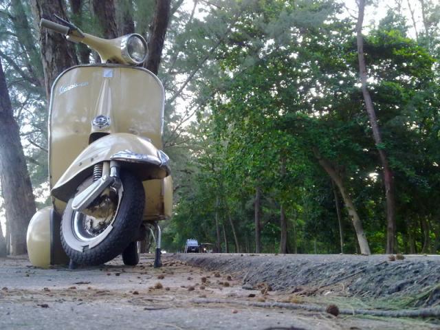 Name:  25062010033_resize.jpg
Views: 2632
Size:  65.4 KB