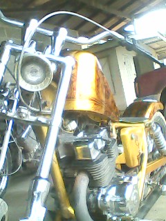 Name:  IMG0140A.jpg
Views: 803
Size:  50.1 KB