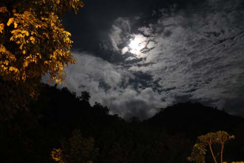 Name:  IMG_2929.jpg
Views: 362
Size:  39.5 KB