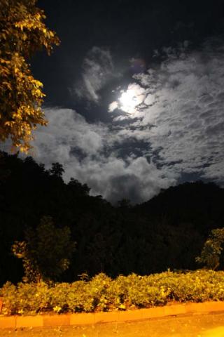 Name:  IMG_2930.jpg
Views: 363
Size:  23.2 KB