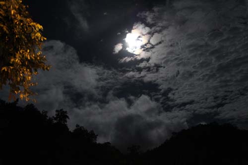 Name:  IMG_2931.jpg
Views: 364
Size:  31.8 KB