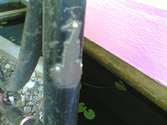 Name:  24102010(019).jpg
Views: 703
Size:  38.1 KB