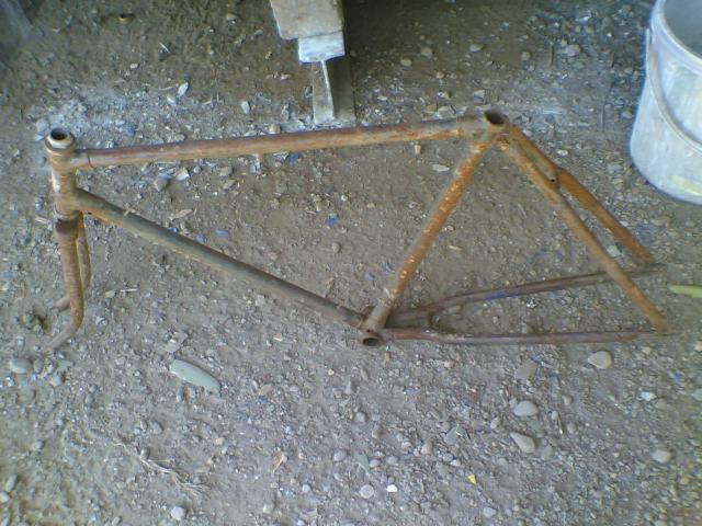 Name:  24102010(072).jpg
Views: 682
Size:  62.5 KB