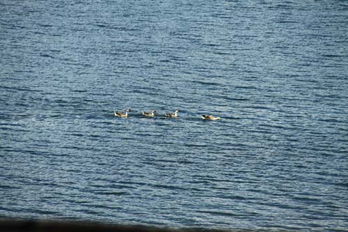 Name:  IMG_3175.jpg
Views: 204
Size:  67.6 KB