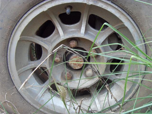 Name:  SDC12436 (Small).JPG
Views: 1711
Size:  59.3 KB