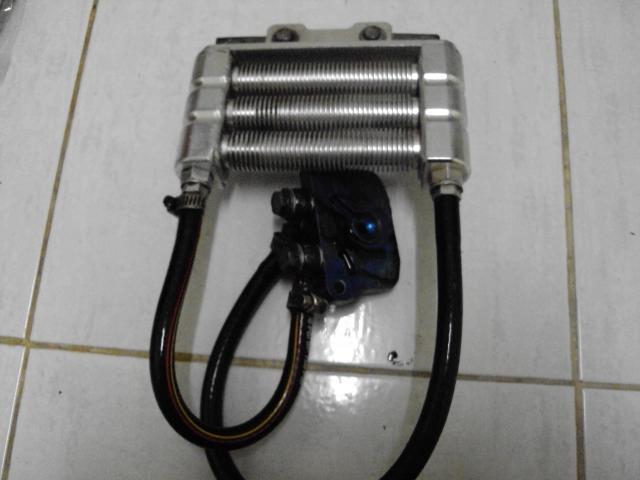 Name:  DSC03467.jpg
Views: 1804
Size:  30.9 KB