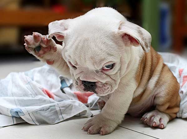 Name:  forum.jpg
Views: 62
Size:  57.3 KB