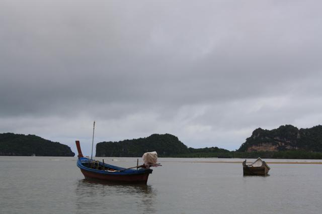 Name:  IMG_5209.jpg
Views: 197
Size:  17.7 KB