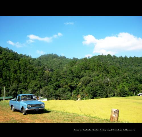 Name:  IMG_1514.jpg
Views: 314
Size:  35.6 KB