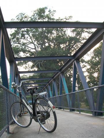 Name:  DCAM0123.jpg
Views: 124
Size:  43.1 KB