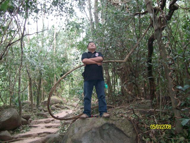 Name:  SANY1586.jpg
Views: 375
Size:  81.8 KB