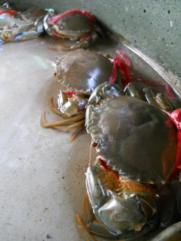 Name:  DSCN0675.jpg
Views: 212
Size:  26.5 KB