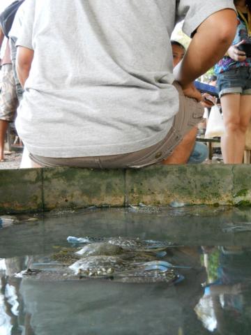 Name:  DSCN0676.jpg
Views: 209
Size:  27.4 KB