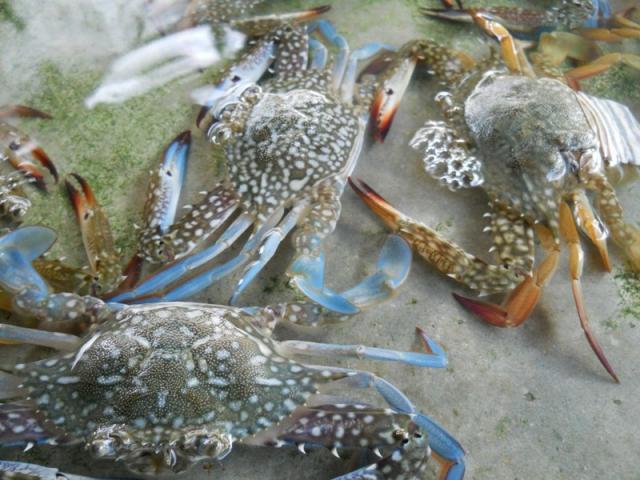 Name:  DSCN0678.jpg
Views: 254
Size:  57.3 KB