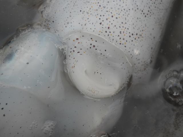 Name:  DSCN0681.jpg
Views: 228
Size:  25.6 KB