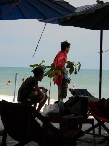 Name:  DSCN0748.jpg
Views: 187
Size:  20.4 KB