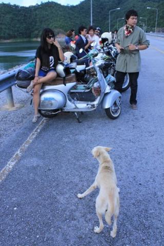Name:  IMG_847300.jpg
Views: 171
Size:  32.6 KB