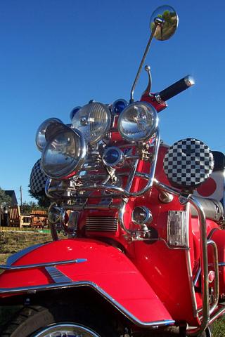 Name:  martin-lipross-1.jpg
Views: 216
Size:  28.5 KB