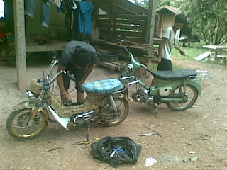 Name:  %E0%B8%A3%E0%B8%B1%E0%B9%88%E0%B8%A7%28248%29.jpg
Views: 454
Size:  32.0 KB