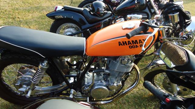 Name:  DSC00991.jpg
Views: 732
Size:  60.3 KB