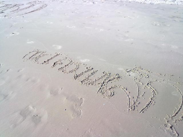 Name:  06112010922.jpg
Views: 1159
Size:  34.2 KB