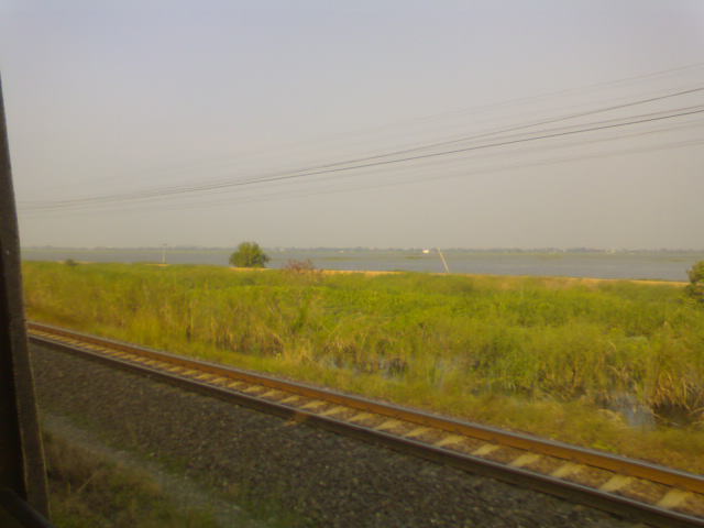 Name:  DSC08929.JPG
Views: 299
Size:  33.5 KB