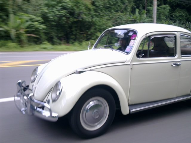 Name:  73658_158326850876173_100000965769902_269479_5688481_n.jpg
Views: 293
Size:  49.5 KB