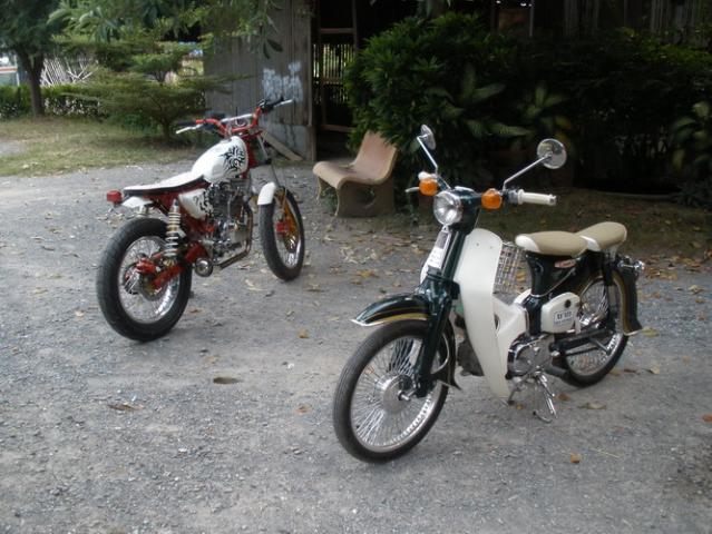 Name:  P1010155_resize.jpg
Views: 1647
Size:  57.1 KB