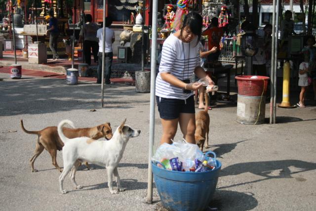 Name:  IMG_4654.jpg
Views: 369
Size:  54.7 KB