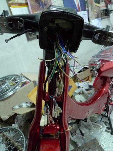 Name:  P1020373.jpg
Views: 1879
Size:  32.6 KB