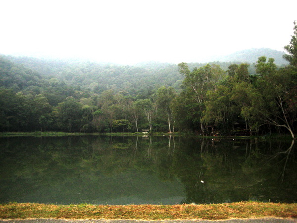 Name:  IMG_0607.jpg
Views: 203
Size:  109.4 KB