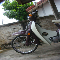Name:  DSC07555.JPG
Views: 514
Size:  97.4 KB