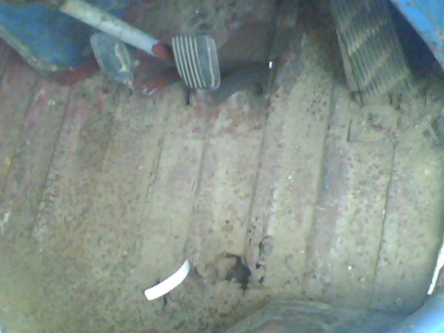 Name:  IMG0812A.jpg
Views: 998
Size:  30.0 KB
