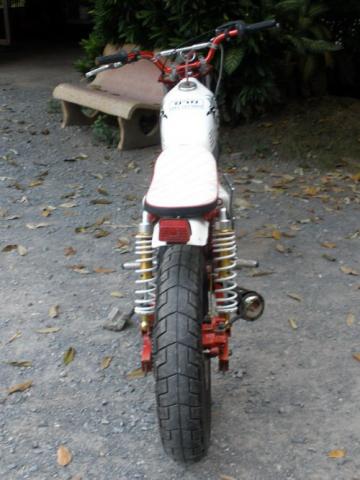 Name:  P1010136_resize.jpg
Views: 54
Size:  29.4 KB