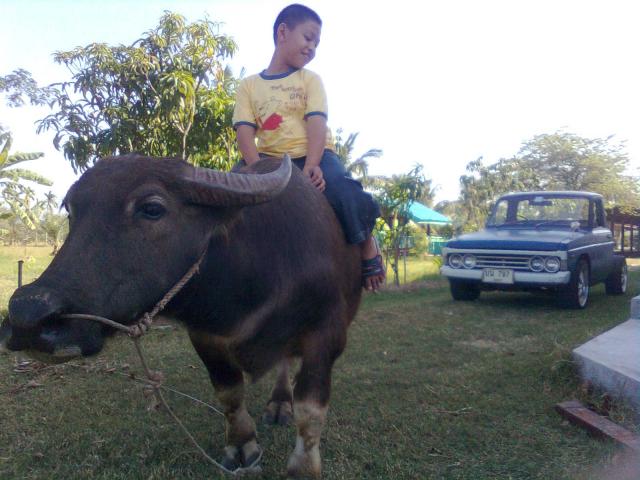 Name:  1.jpg
Views: 165
Size:  48.2 KB