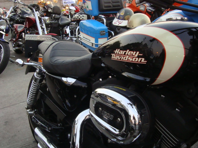 Name:  DSC09109.JPG
Views: 755
Size:  128.9 KB