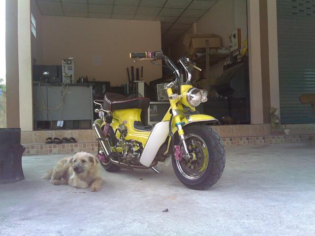 Name:  02052010(001).jpg
Views: 542
Size:  40.1 KB