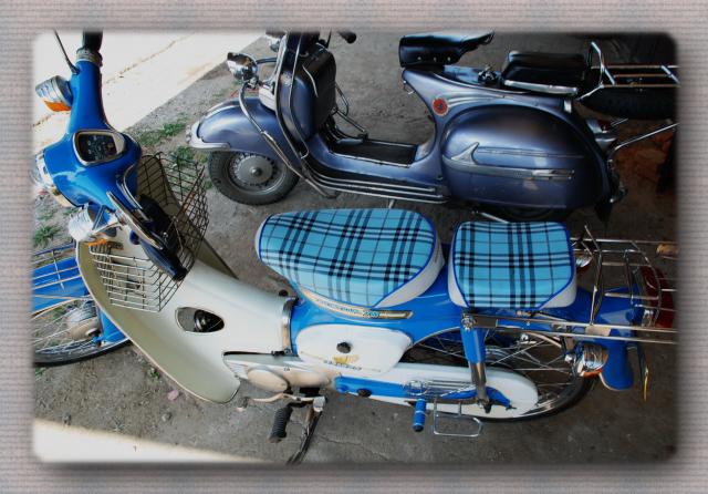 Name:  DSC_00155.jpg
Views: 244
Size:  56.0 KB
