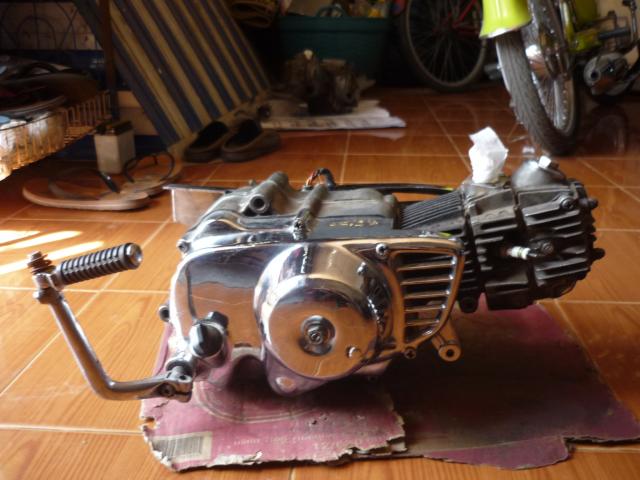 Name:  P1020291.jpg
Views: 1252
Size:  46.0 KB