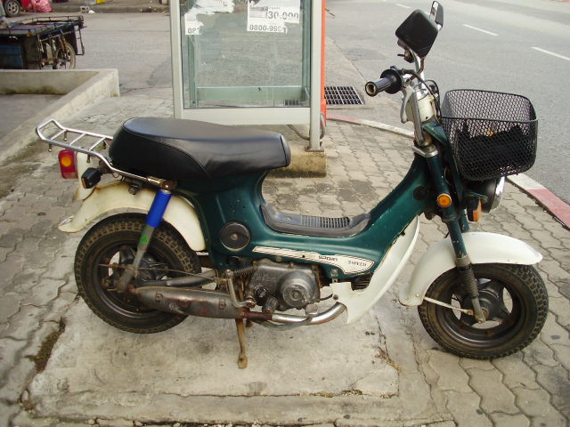 Name:  p8310294.jpg
Views: 87
Size:  82.4 KB