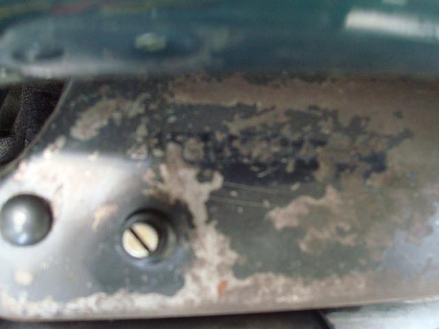 Name:  DSC08485.jpg
Views: 2414
Size:  26.5 KB