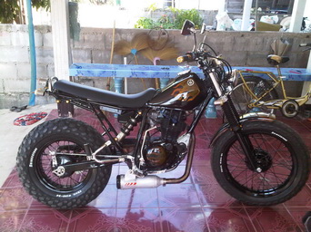 Name:  IMG01005-20101129-1050.jpg
Views: 1443
Size:  50.0 KB