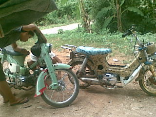 Name:  %E0%B8%A3%E0%B8%B1%E0%B9%88%E0%B8%A7%28249%29.jpg
Views: 393
Size:  35.3 KB