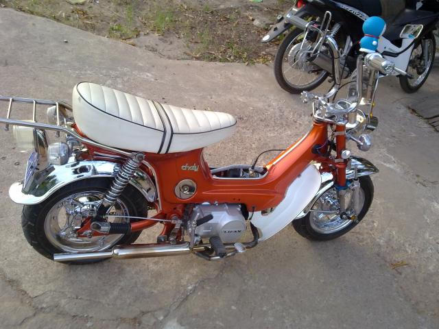 Name:  30112010252.jpg
Views: 5564
Size:  59.9 KB