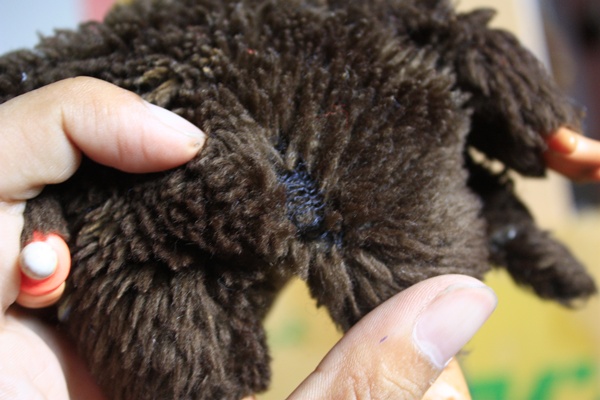 Name:  _MG_4328.JPG
Views: 928
Size:  93.2 KB