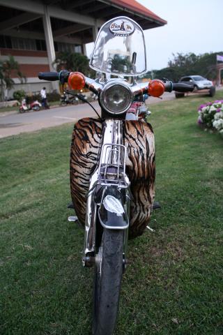 Name:  IMG_4940.jpg
Views: 984
Size:  33.8 KB