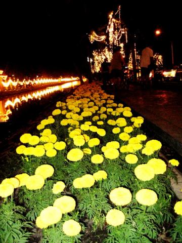 Name:  IMG_0820.jpg
Views: 220
Size:  41.4 KB